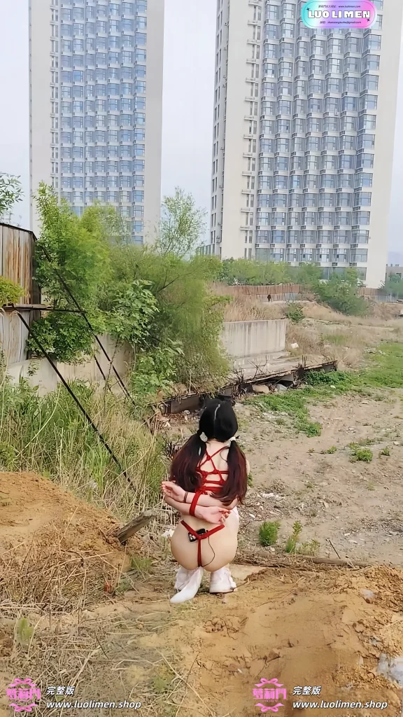 图片[10]-一颗露露子 – [素菜] 5.05小时 SM调教户外露出福利订阅 -LUOLIMEN 萝莉门