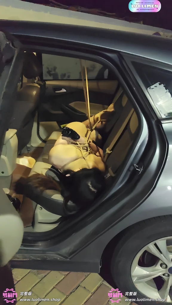 图片[17]-一颗露露子 – [素菜] 5.05小时 SM调教户外露出福利订阅 -LUOLIMEN 萝莉门